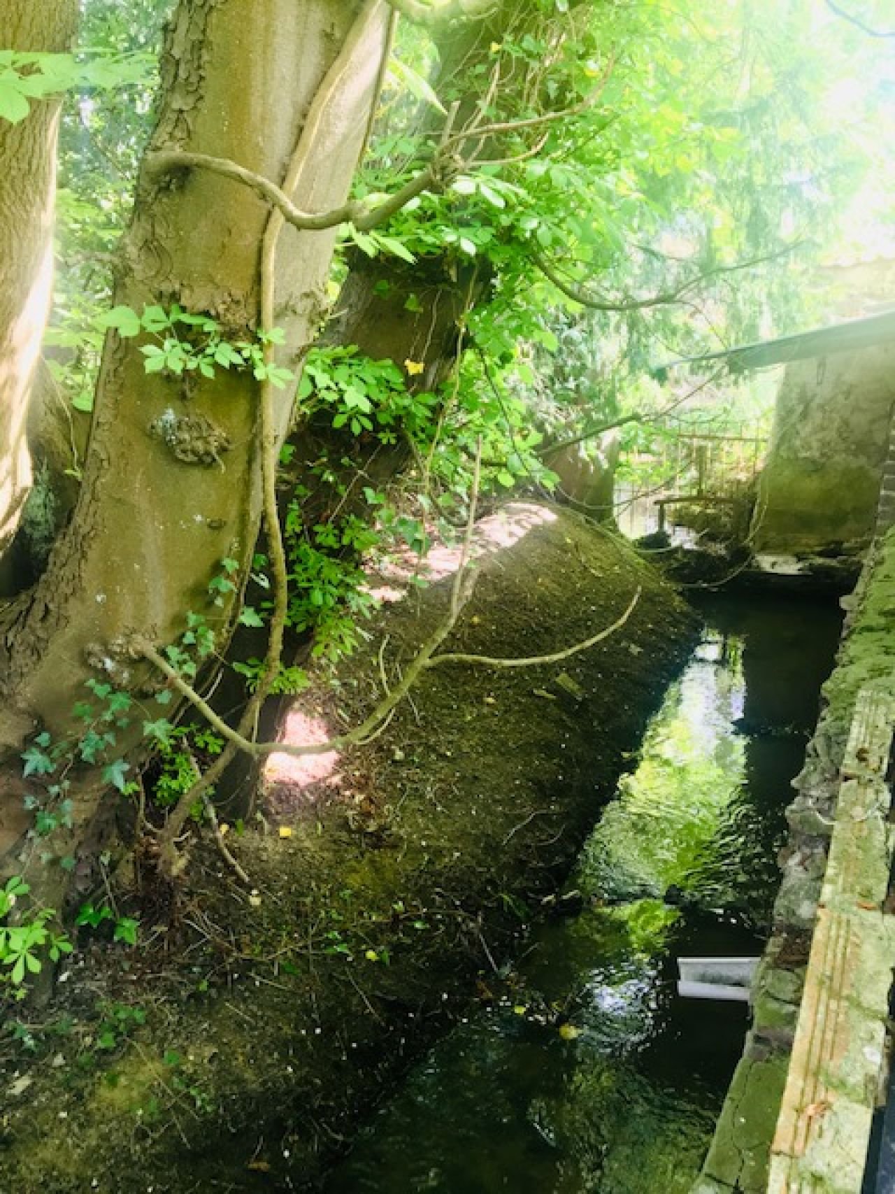 Maison XIXe siècle rénovée – photo 15