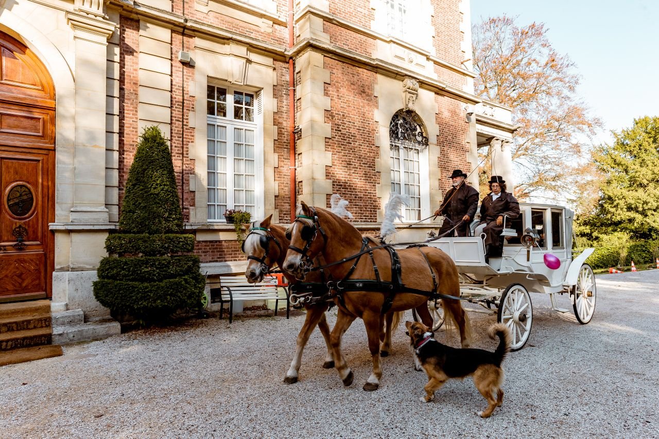 Château, luxe et charme – photo 34