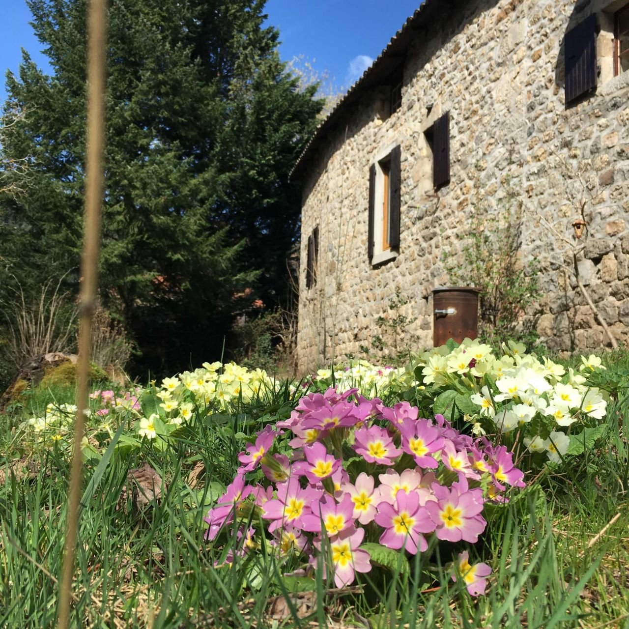 Maison en pierre de 1680 – photo 5