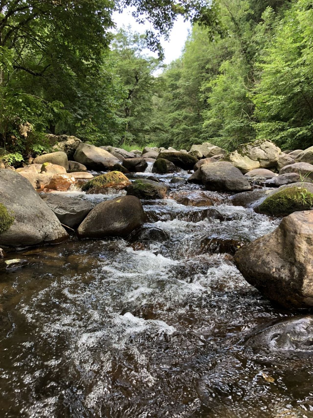 Maison en pierre de 1680 – photo 4