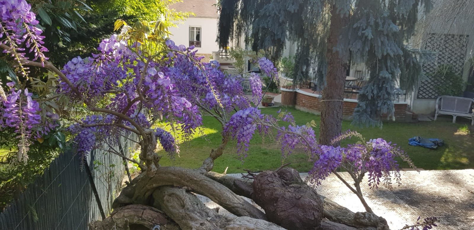 Maison moderniste des années 30′ proche Paris – photo 11