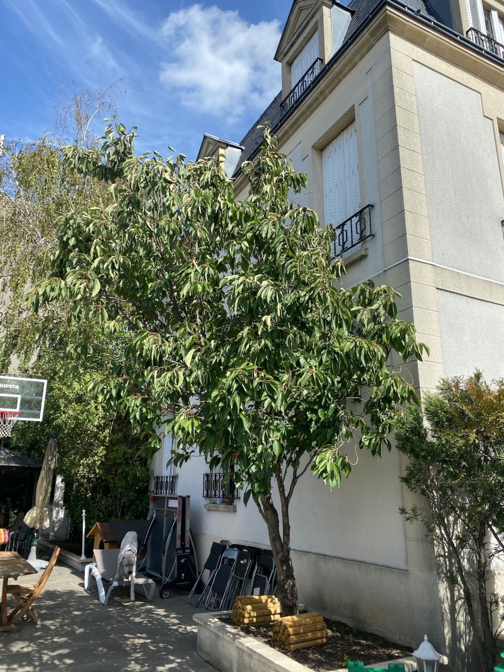 Maison ancienne, ameublement moderne proche Paris – photo 8