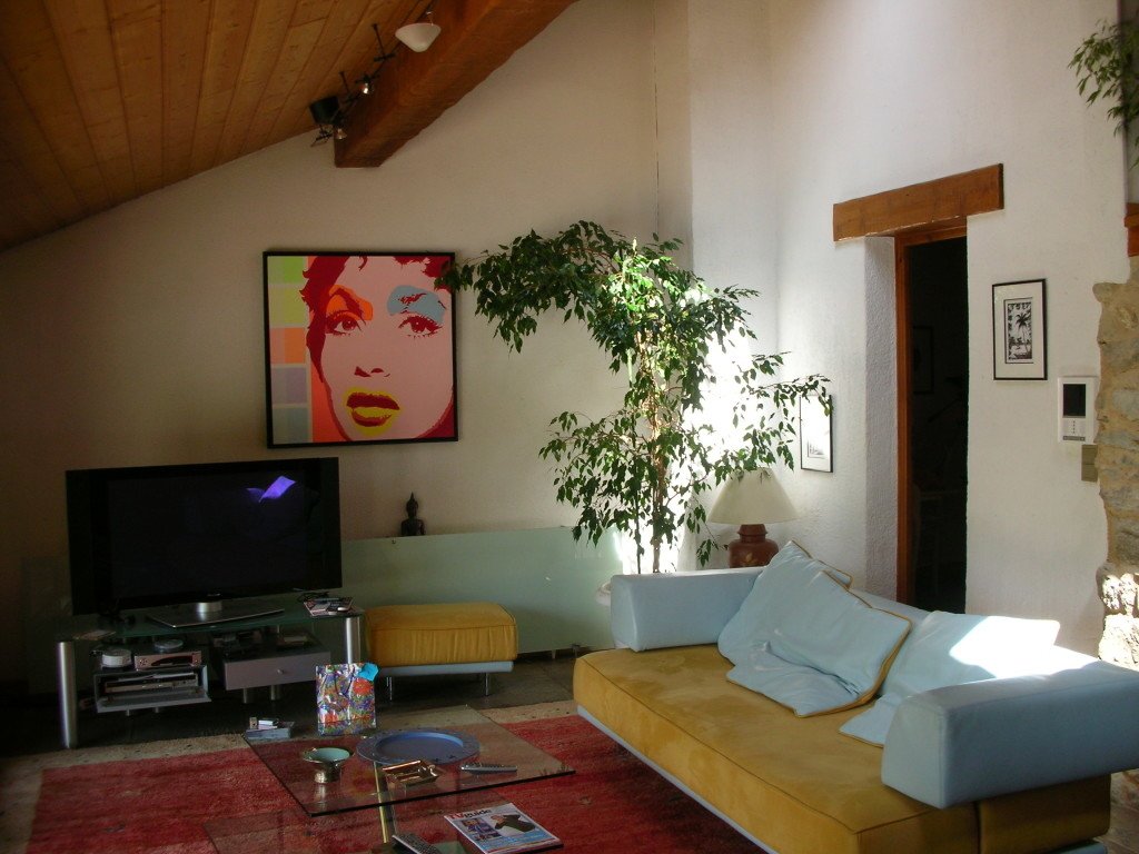 Grande maison – photo 4