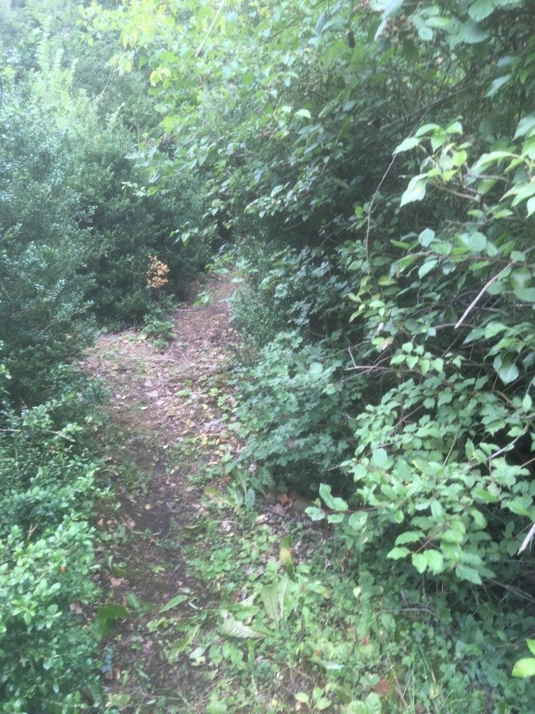 Maisonnette troglodyte – photo 14