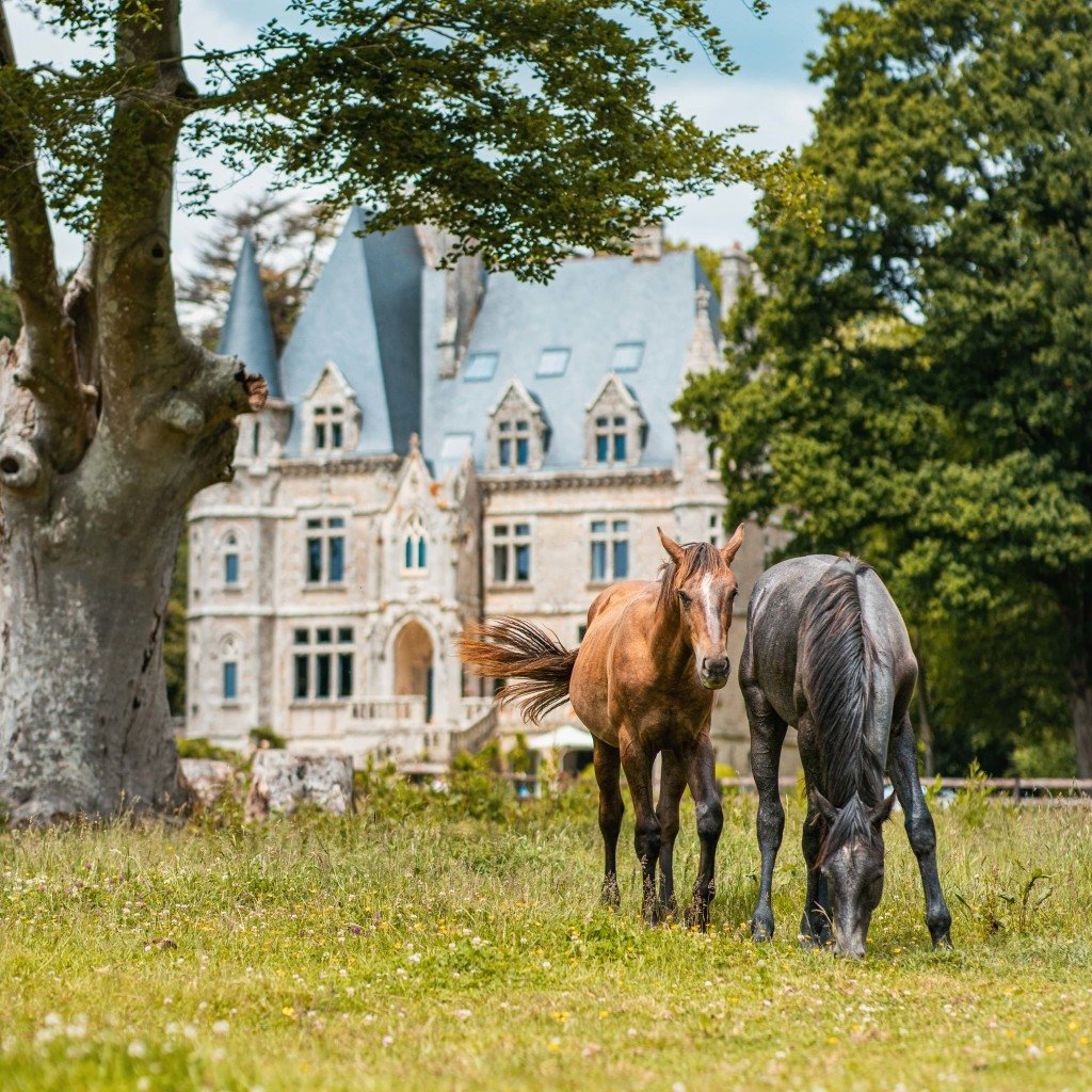 Château style gothique – photo 21