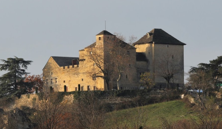 Château du XIIIe siècle avec vue sur les massifs – photo 4