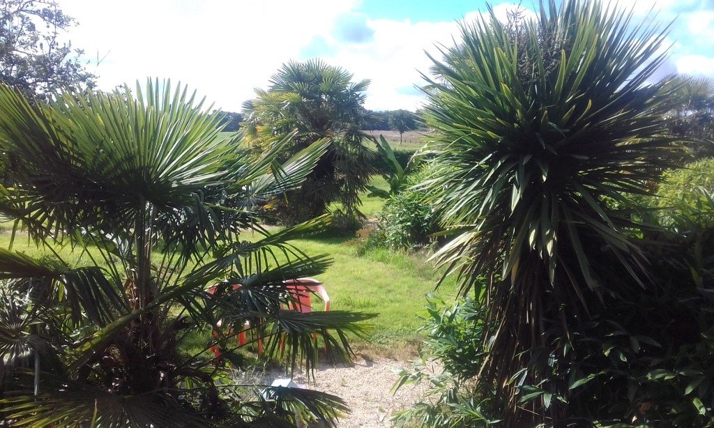 Extérieur d’une Malouinière – photo 5