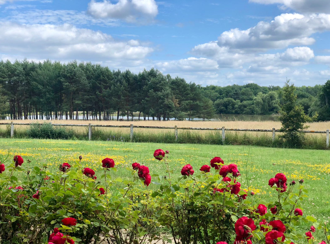 Manoir de la fin du XIXe en Sologne – photo 5