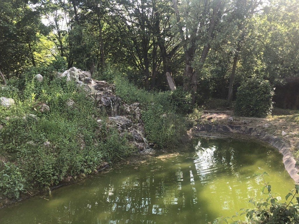 La pierrière – photo 27