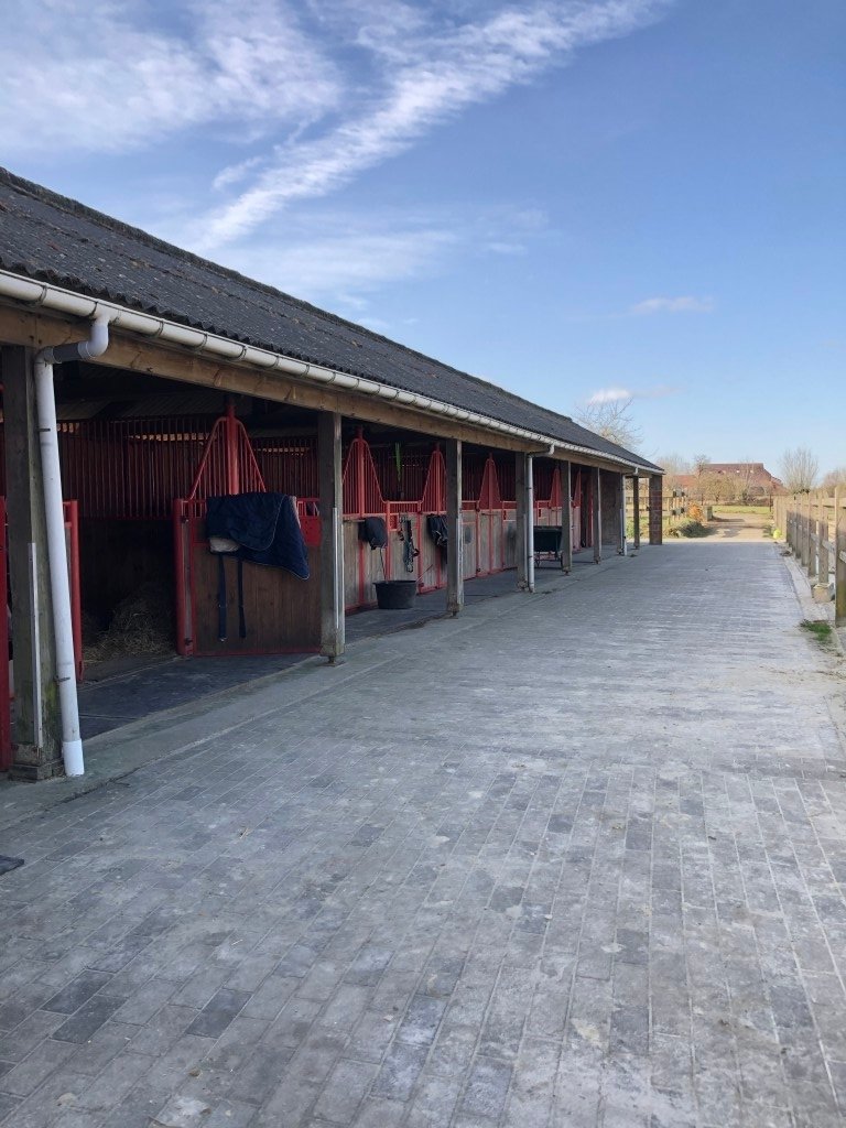 Ecuries – photo 13