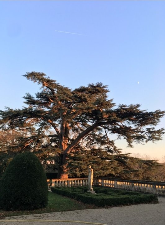 Château du XIIIème siècle – photo 9