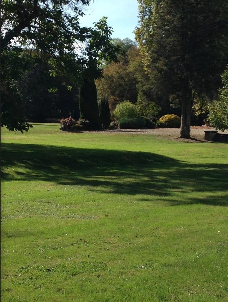 Château – photo 7