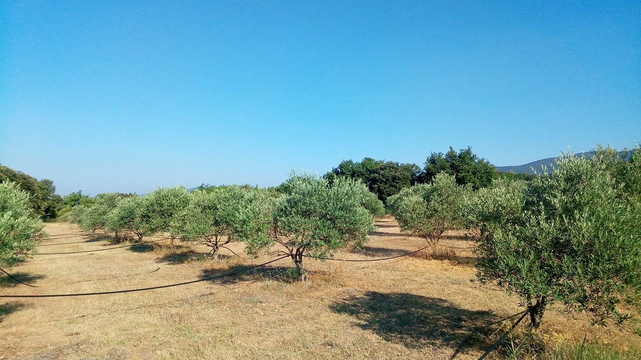 Maison avec jardin paysager – photo 10