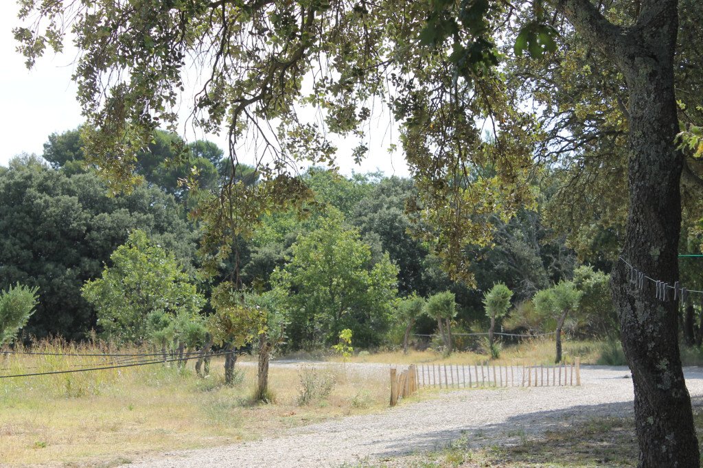 Maison avec jardin paysager – photo 11