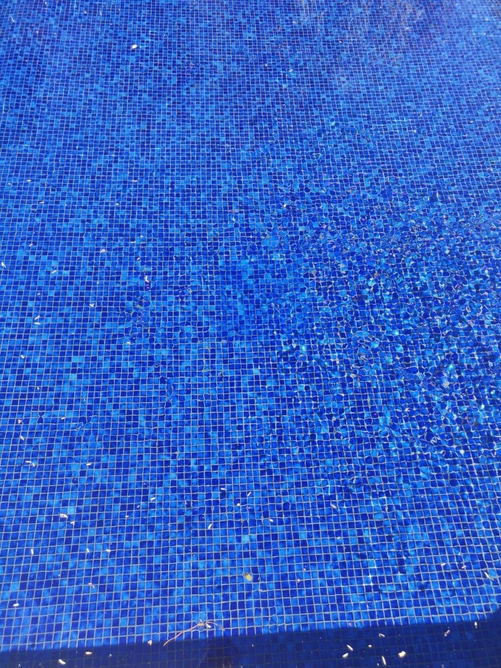 Piscine et son Pool House – photo 1