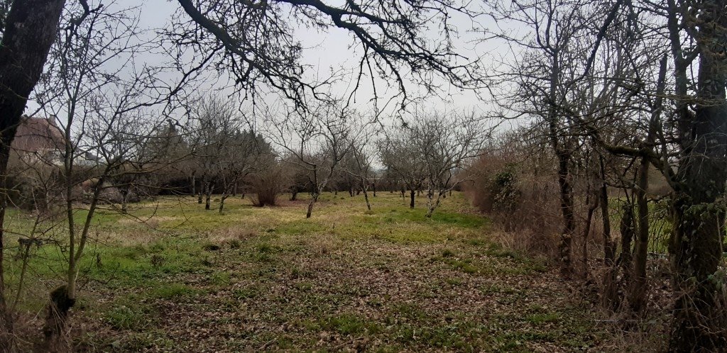 Maison de campagne dans son jus – photo 13