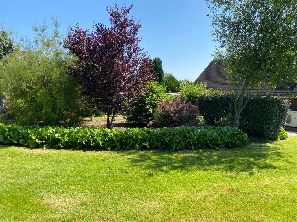 Domaine au coeur de la nature – photo 5