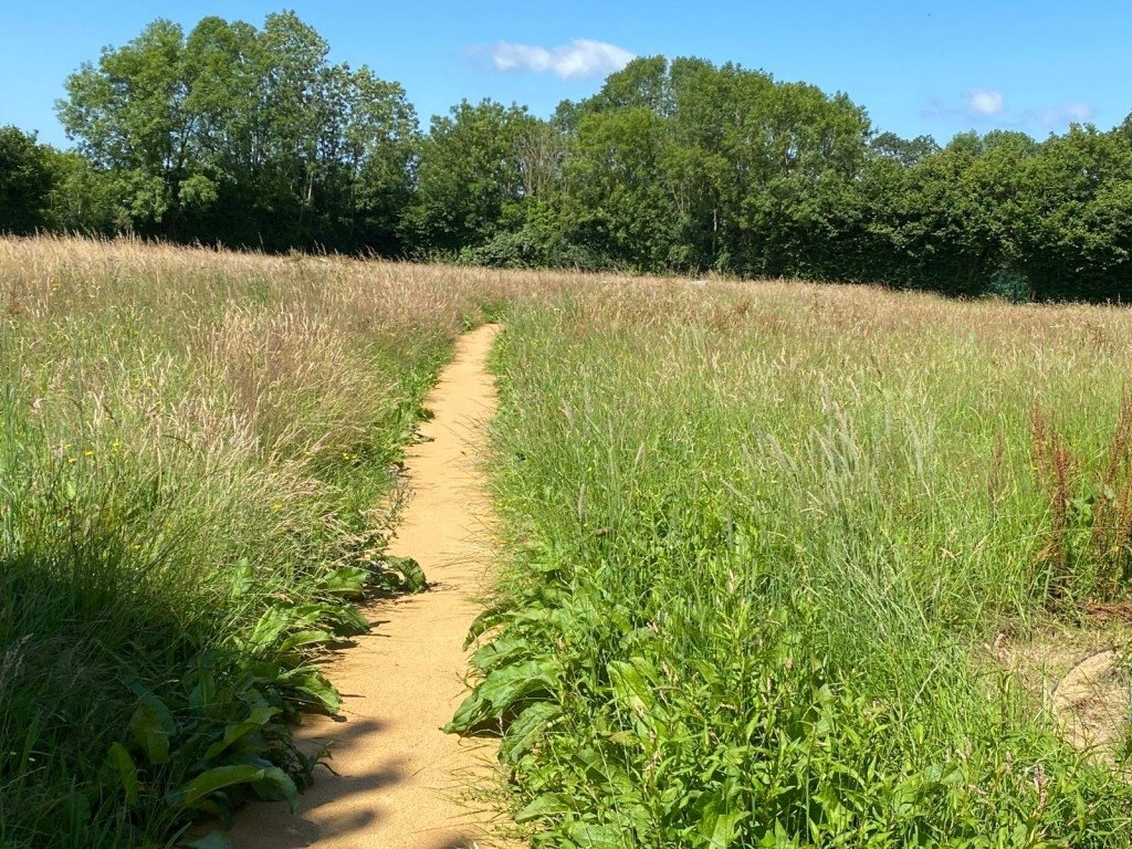 Domaine au coeur de la nature – photo 12