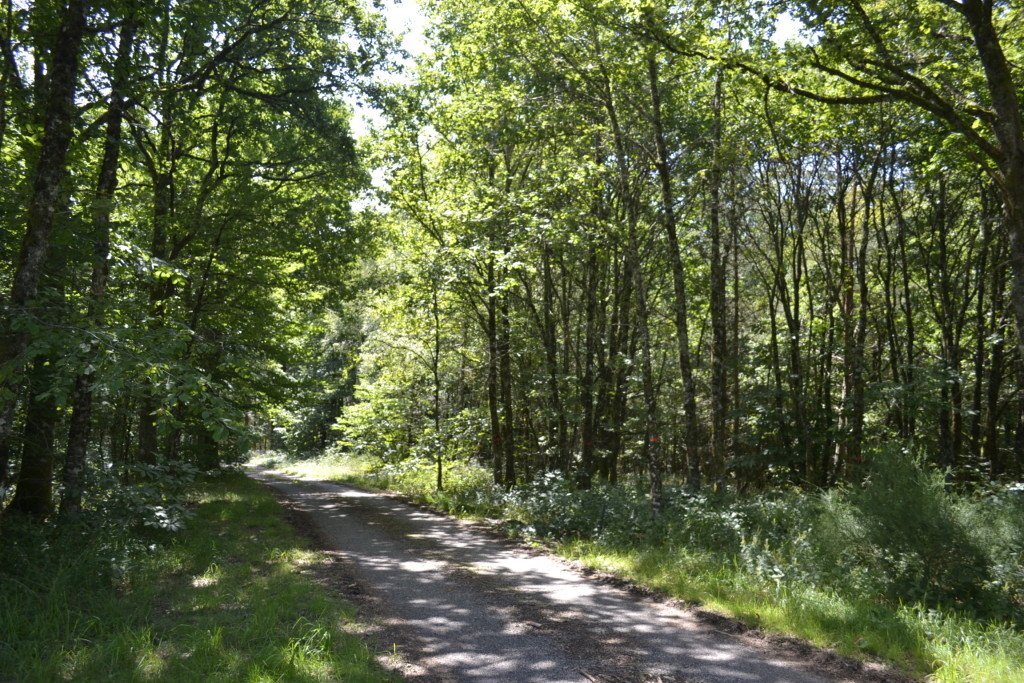 Maison Corrézienne de caractère – photo 16