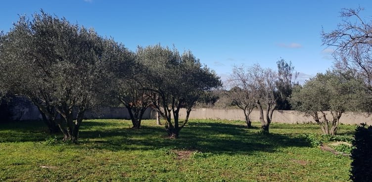 Propriété de charme – photo 9