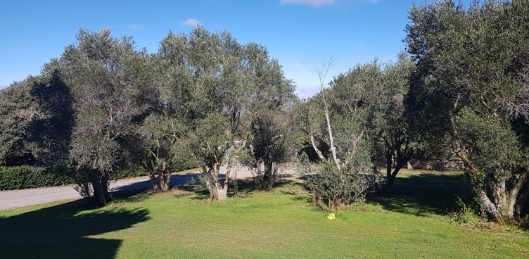 Propriété de charme – photo 10