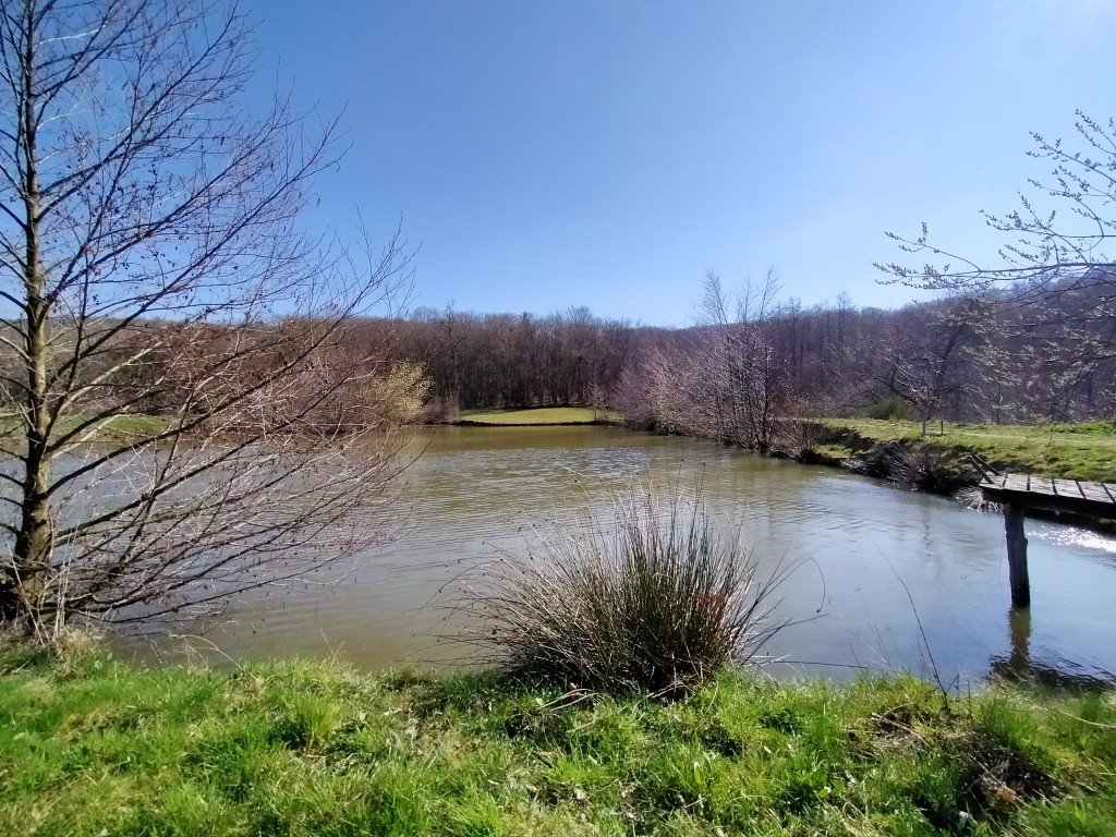 Gîte avec bel espace extérieur – photo 16