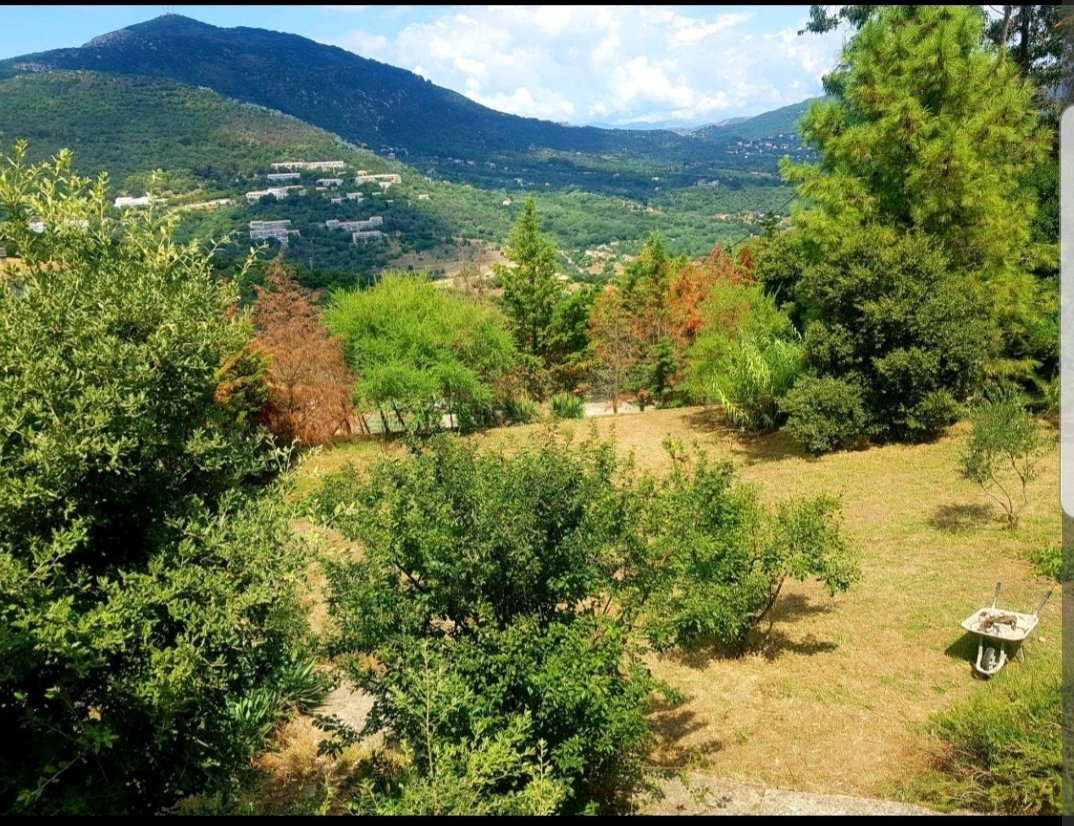 Chalet face à la montagne – photo 15