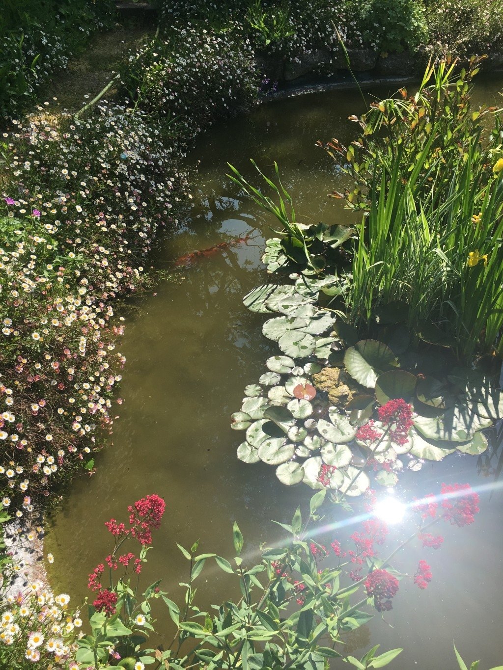 Grande demeure du XVIIIe – photo 4