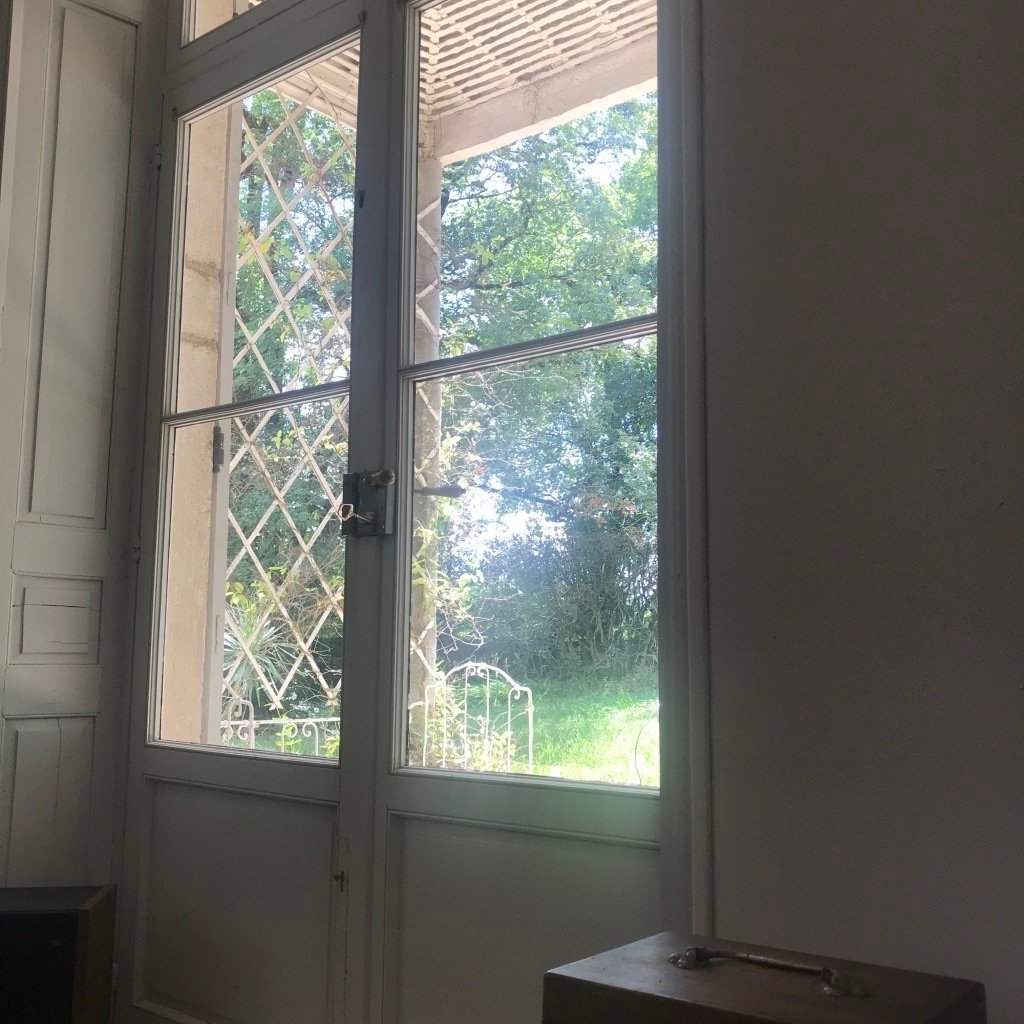 Maison et parc – photo 10