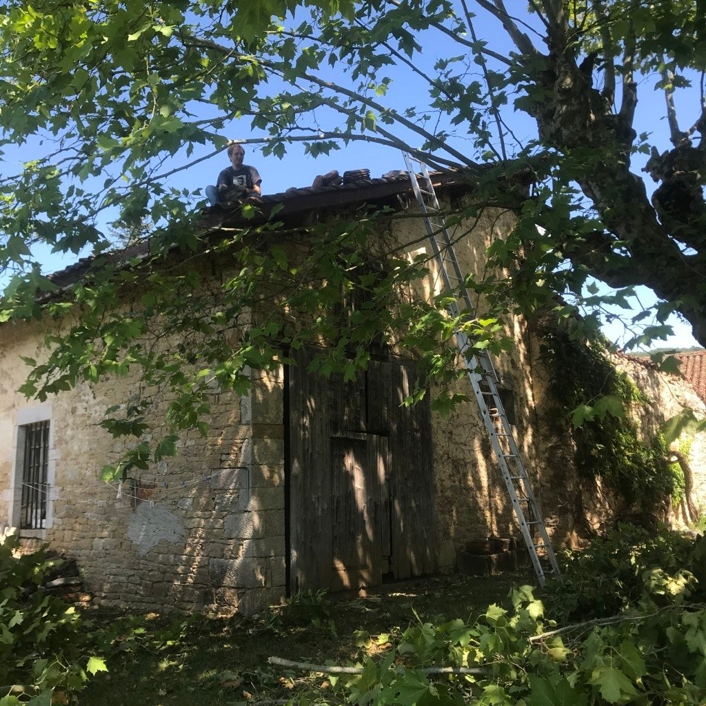 Maison et parc – photo 15