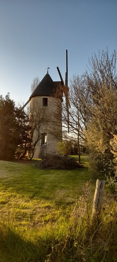 Moulin à vent – photo 12