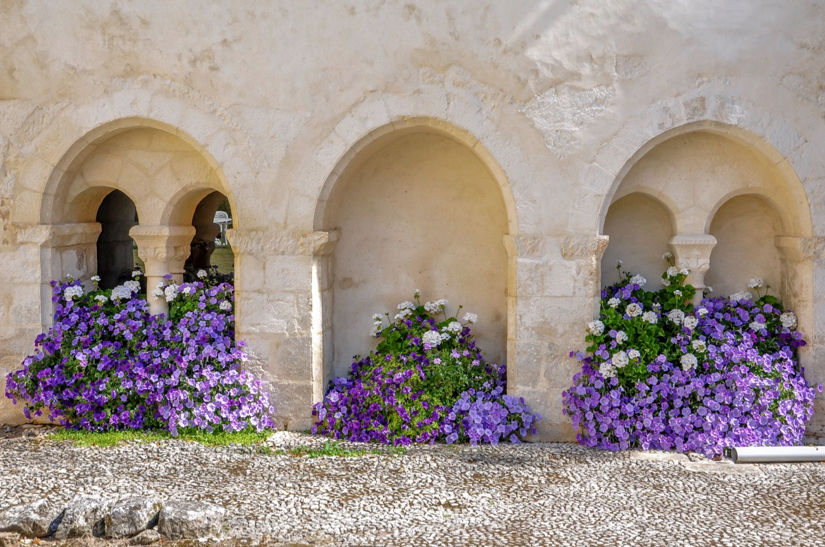 Abbaye restaurée – photo 2