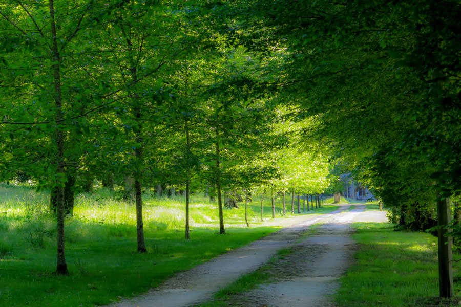 Abbaye restaurée – photo 8