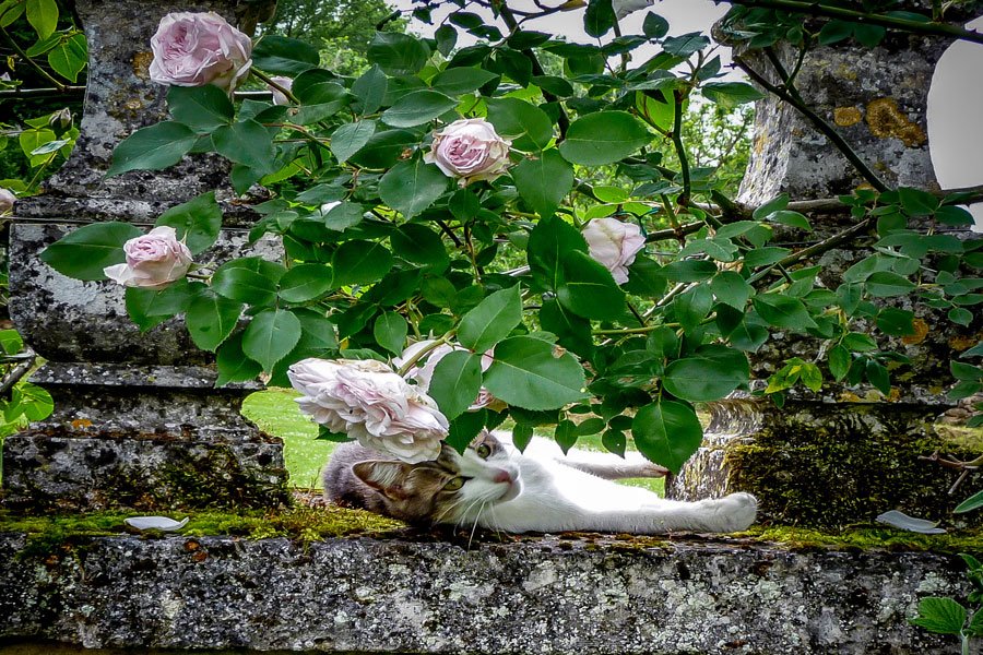 Abbaye restaurée – photo 13