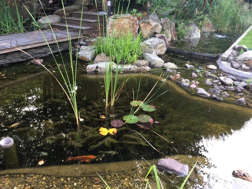 Ancien manoir de famille, hôtel – photo 15