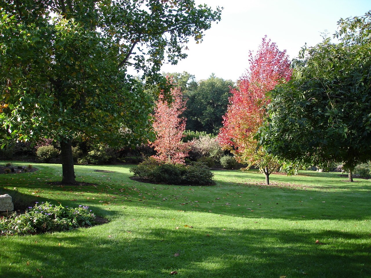 Maison de campagne – photo 11