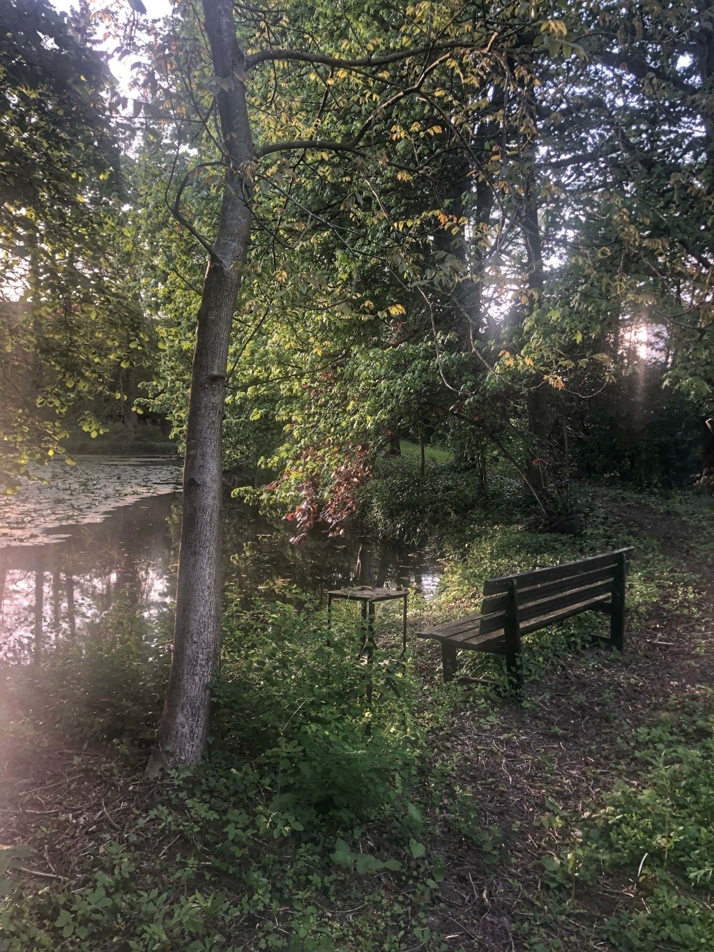 Villa des années 1930 – photo 6