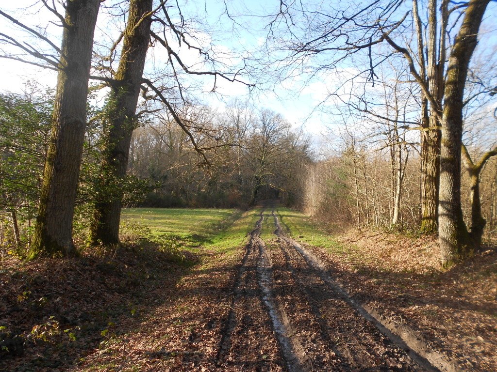 Château 1830 dans son jus – photo 4