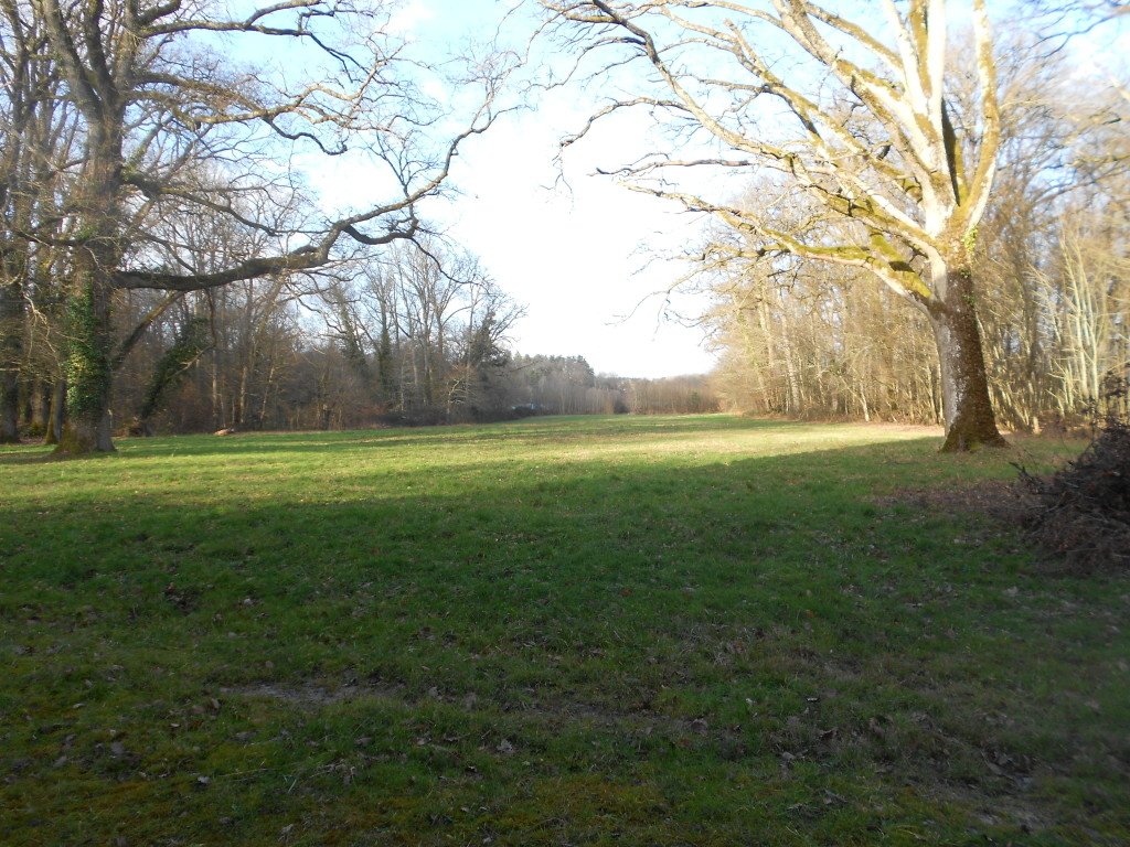 Château 1830 dans son jus – photo 5