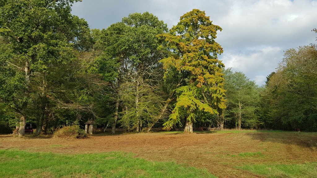Château 1830 dans son jus – photo 10