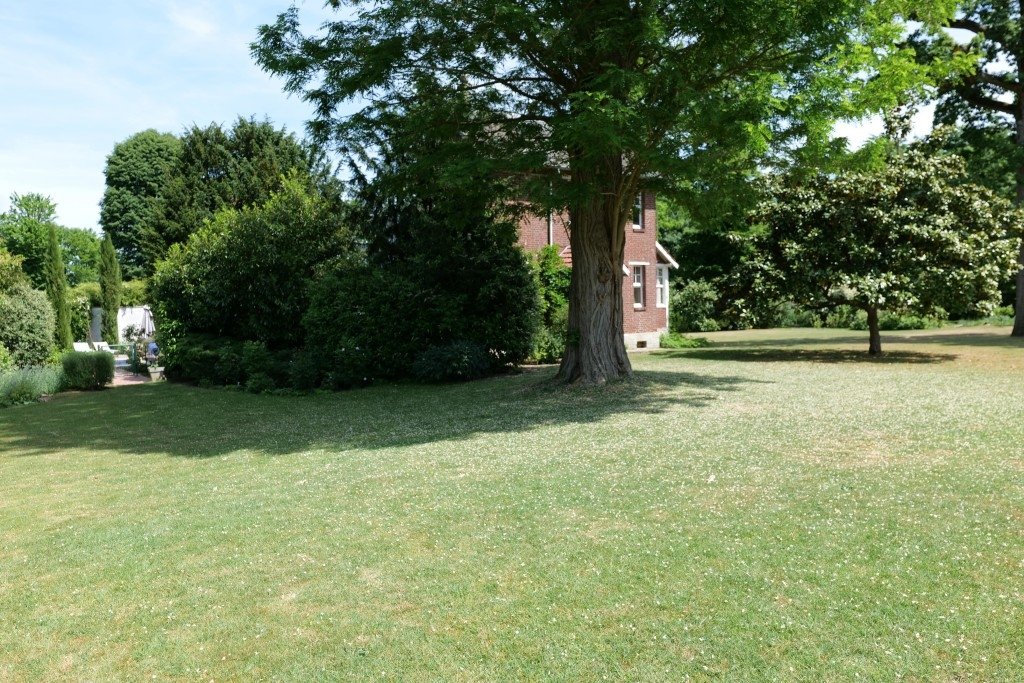 Piscine et son Pool House – photo 10