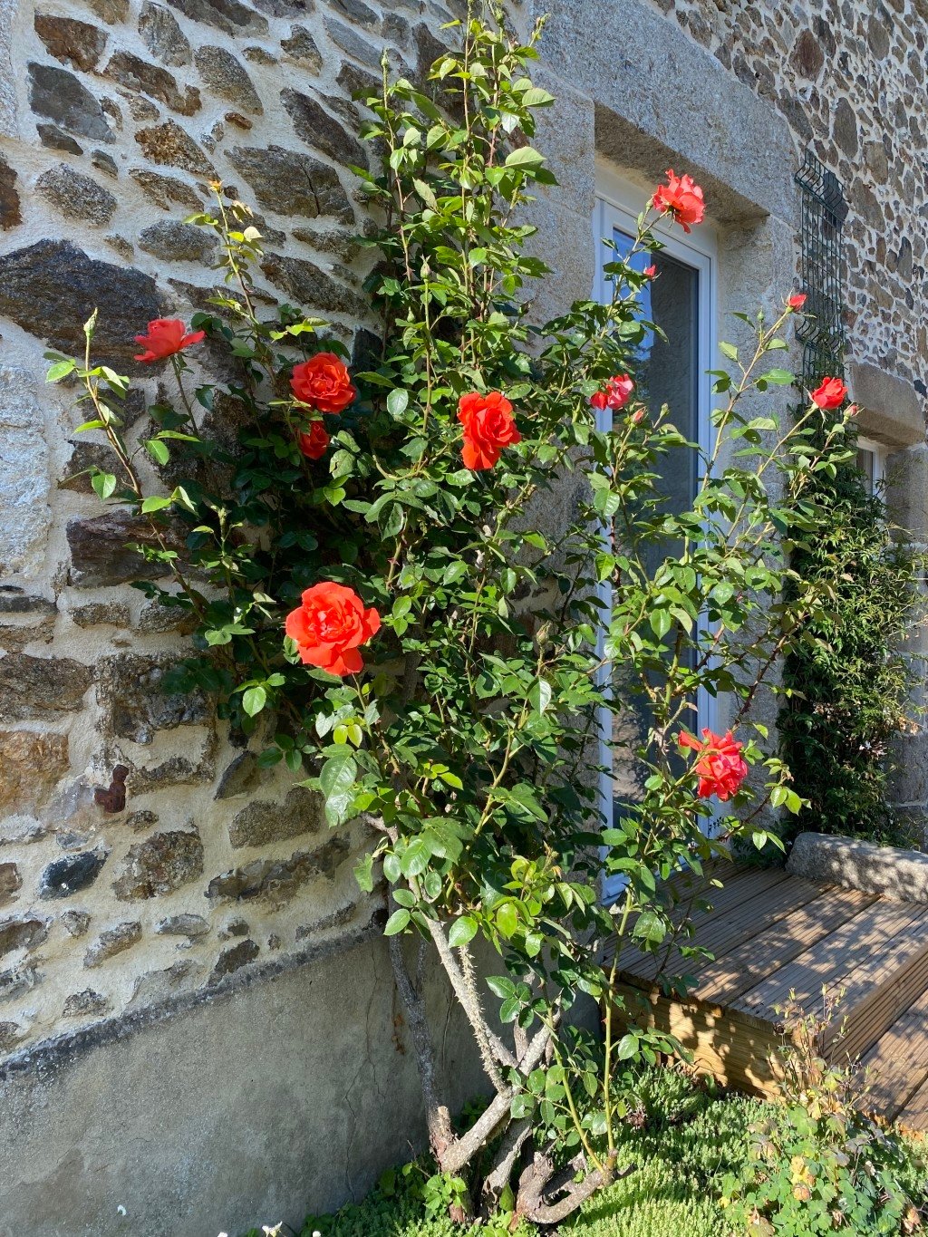 Ancienne longère renovée – photo 28