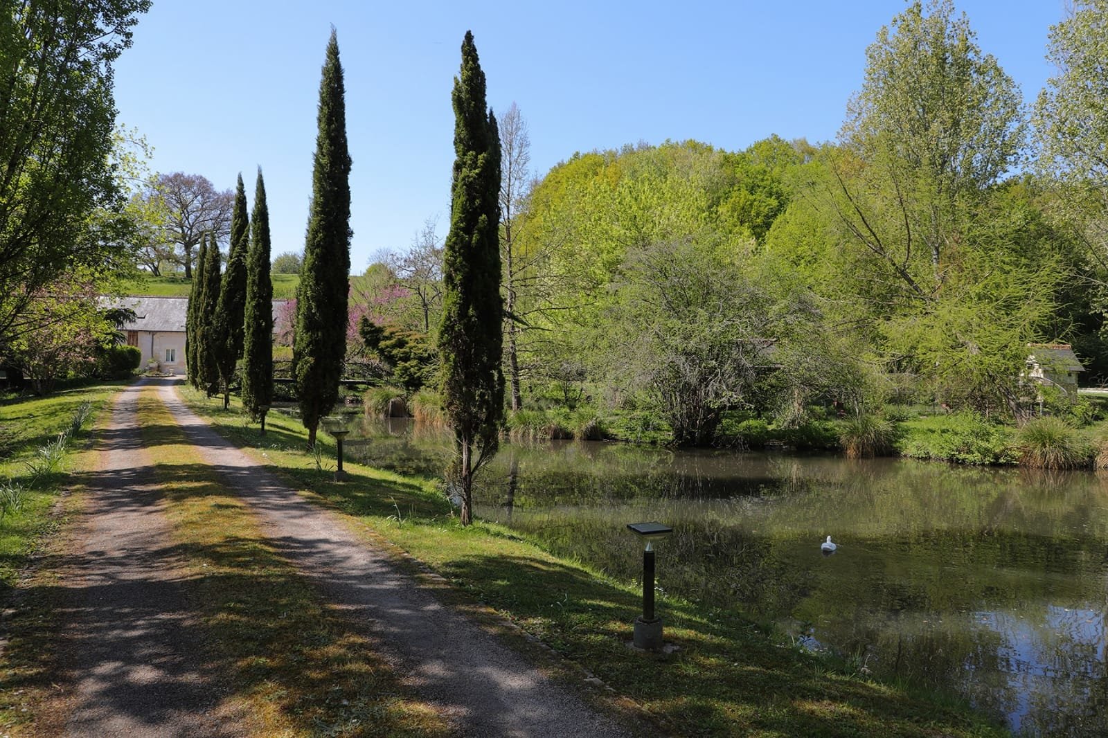 Ancien moulin à eau – photo 6