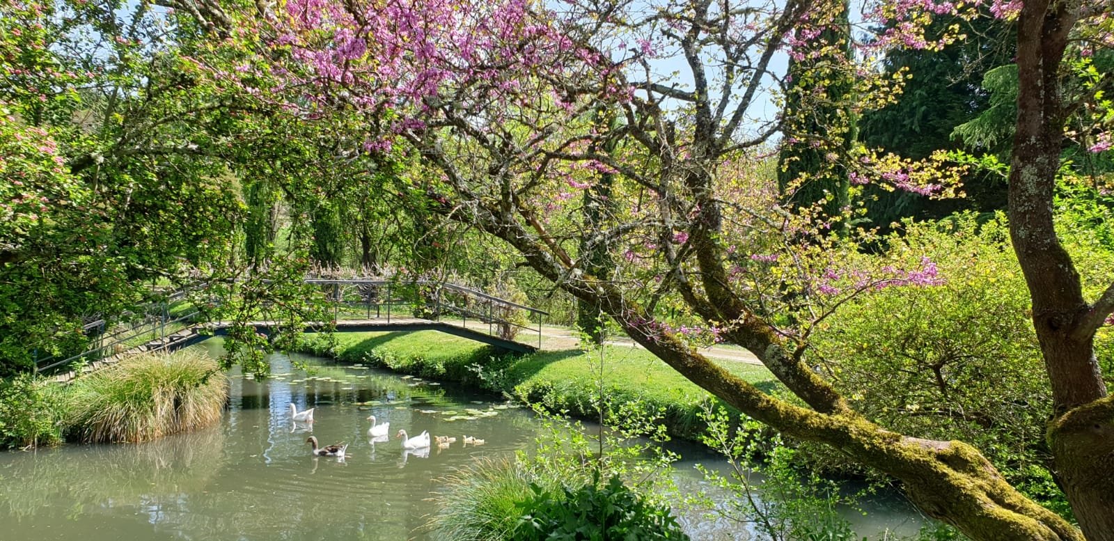 Ancien moulin à eau – photo 8