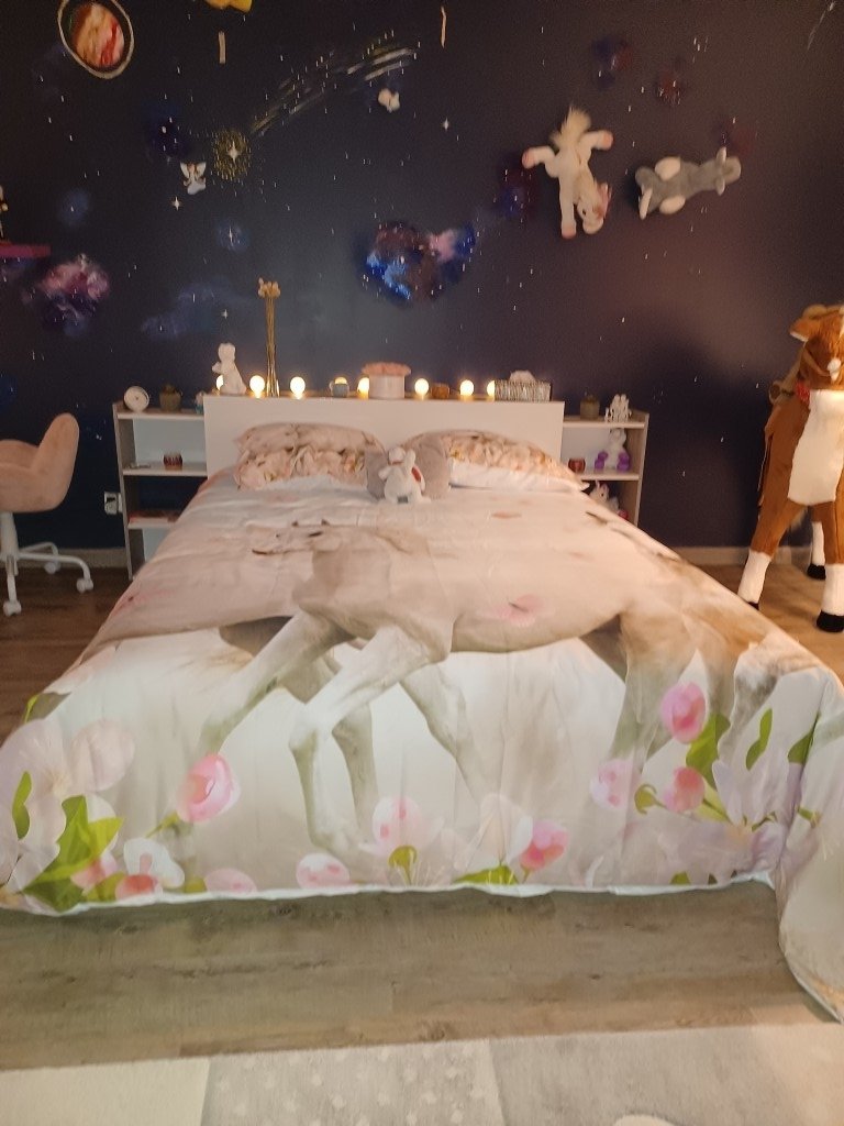 Corps de ferme refait à neuf – photo 12