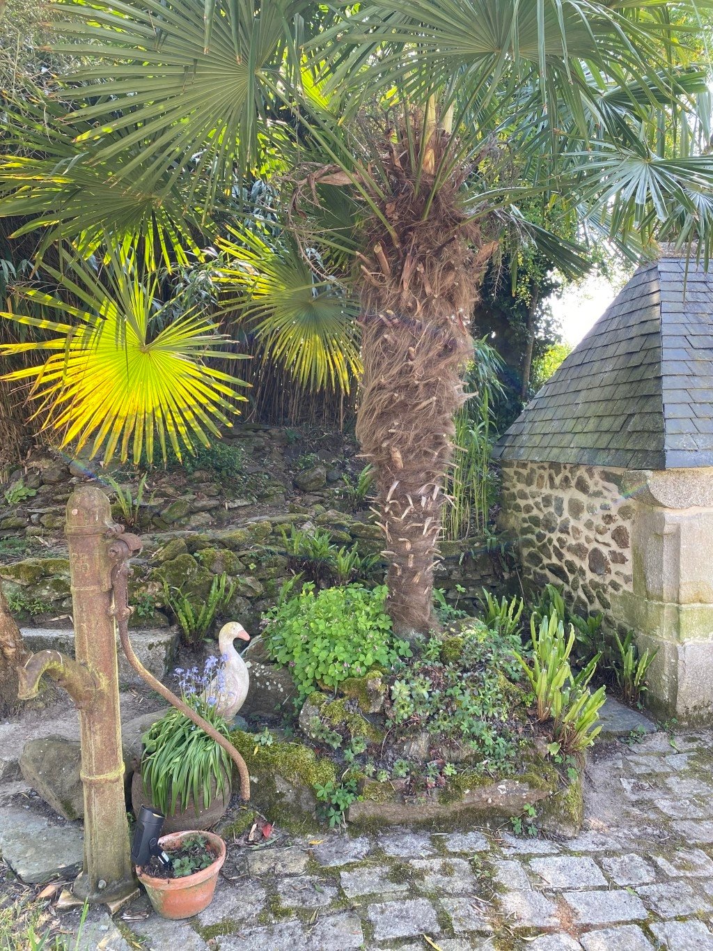 Ancienne longère renovée – photo 31