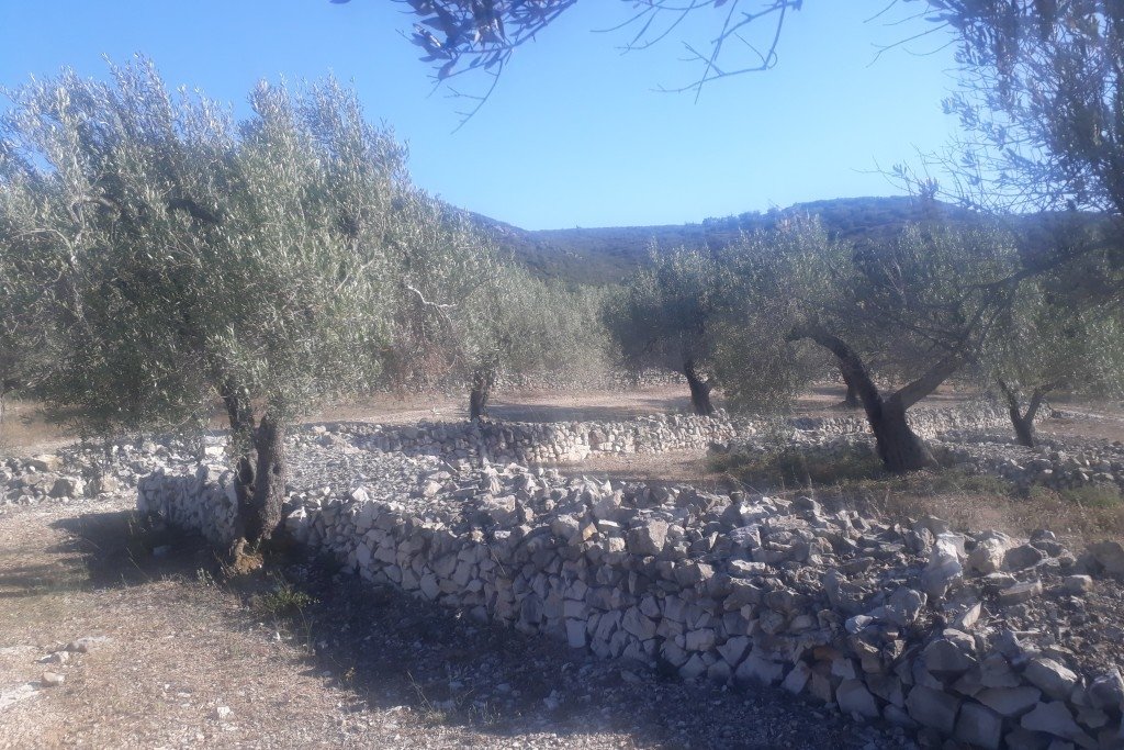 Maison avec piscine extérieure – photo 7