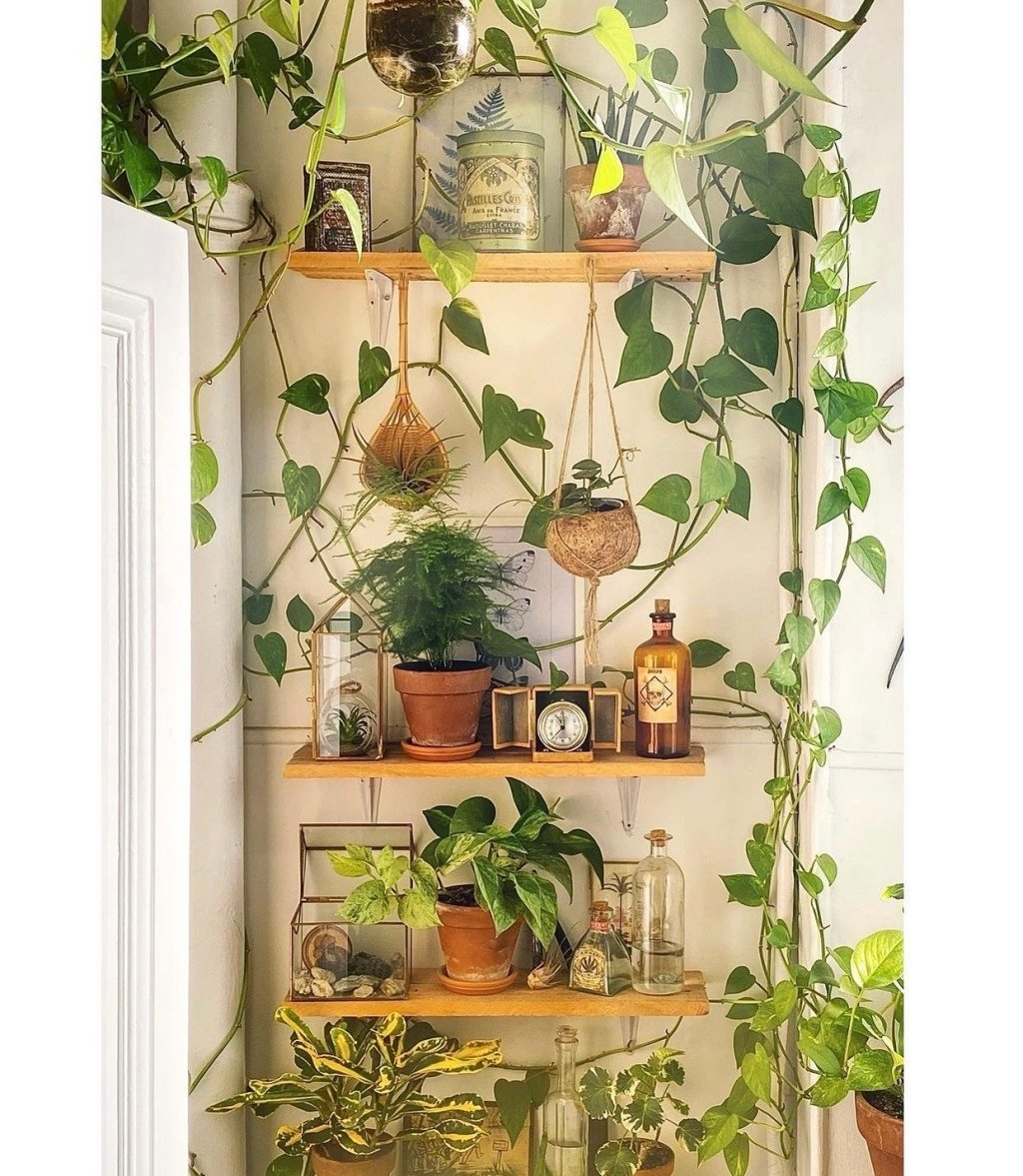 Appartement vintage – photo 7