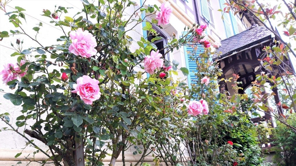 Manoir du XIXe – photo 13