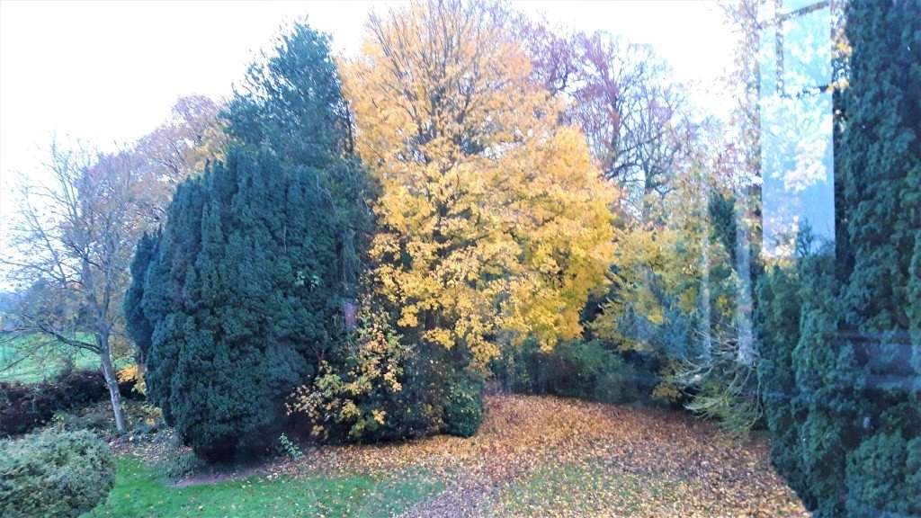 Manoir du XIXe – photo 14